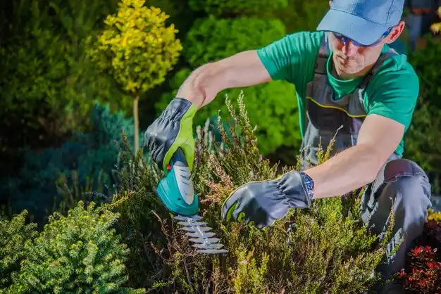 landscaping services Holcomb